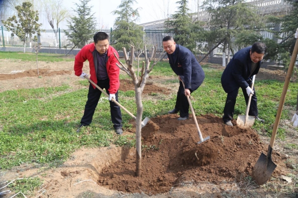 勤植樹??護(hù)環(huán)境??美大地