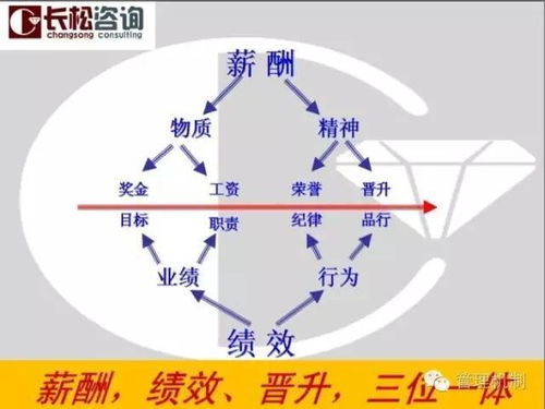 11月29 30日 深圳 企业系统建设咨询会 实战开讲